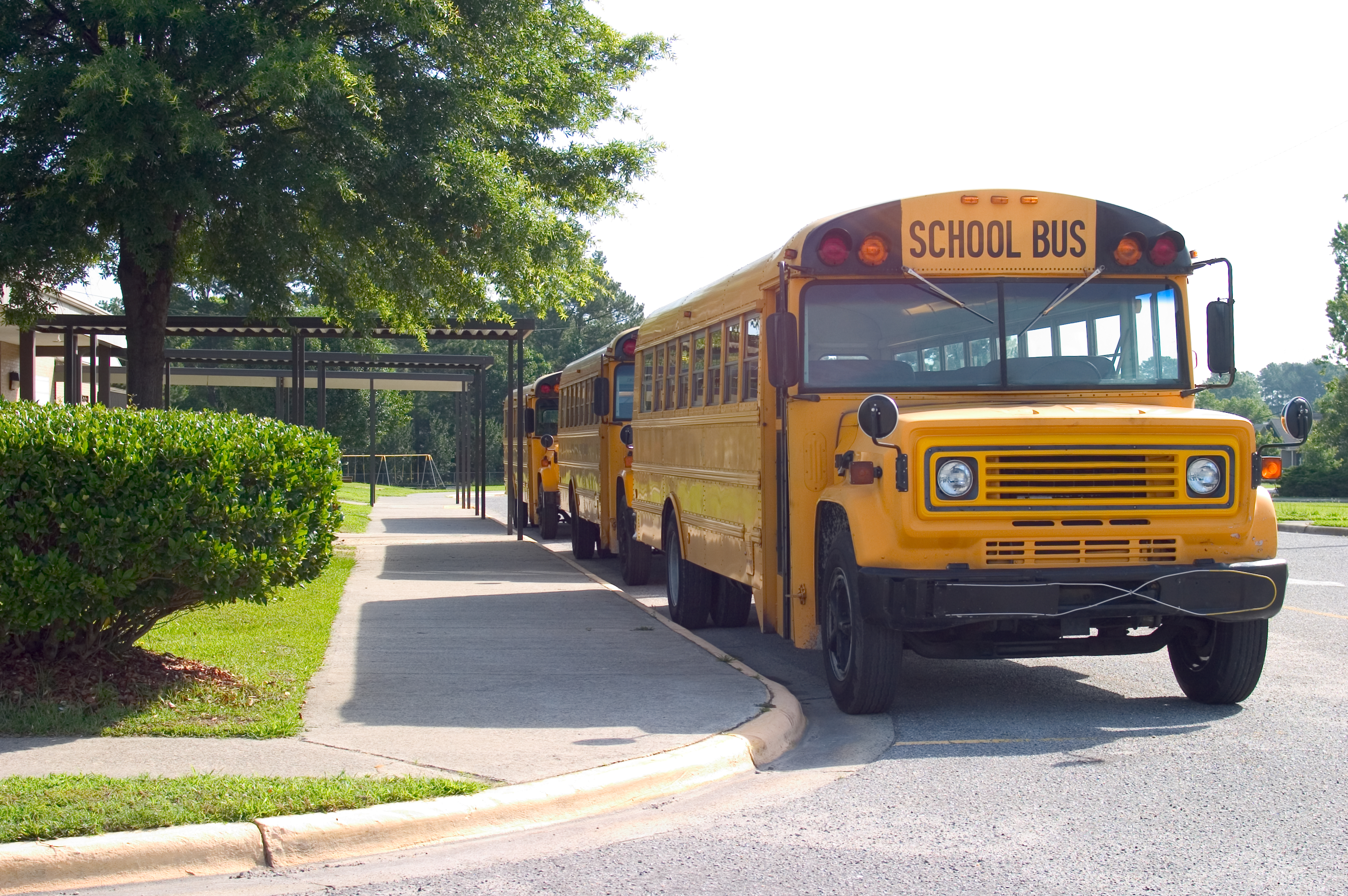 Line of school buses in front of school