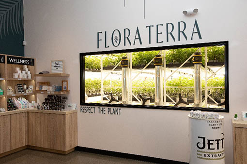 A view of one of Flora Terra’s flowering rooms from inside its retail shop